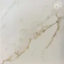 Calacatta Beige RC 60cm x 60cm